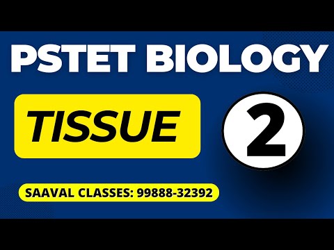 प्रधानमन्त्रीले सम्बोधन गरिरहँदा राप्रपाको विरोध